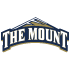 Mt. St. Mary's Mountaineers.png logo